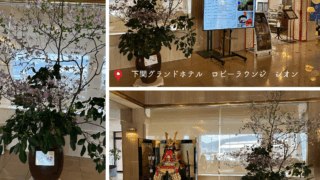 春の彩に包まれて～🍀今日もお見合いにつかわれました🍀