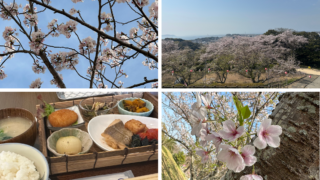 🌸心がほどける場所で、春のしあわせを味わう🌸