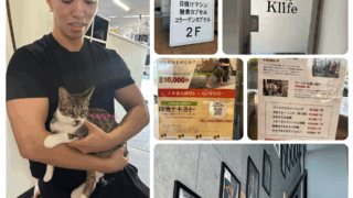 婚活前の自分磨きにも！お隣のスポーツジム「Klife」さんのご紹介✨